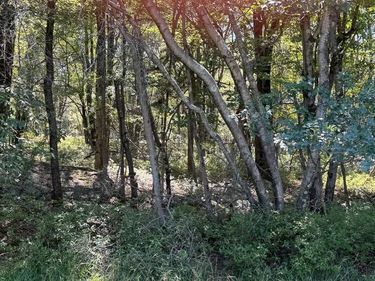 Lot 45 ELK DRIVE , BLAKESLEE, PA 18610