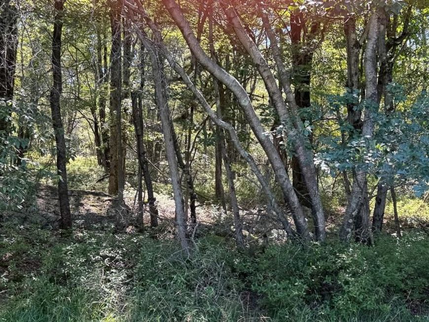 Lot 45 Elk Drive , Blakeslee, PA 18610 Main Photo