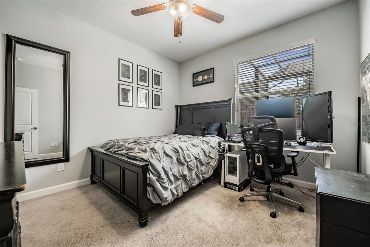 3233 Calvano Drive , Land O Lakes, FL 34639 Photo