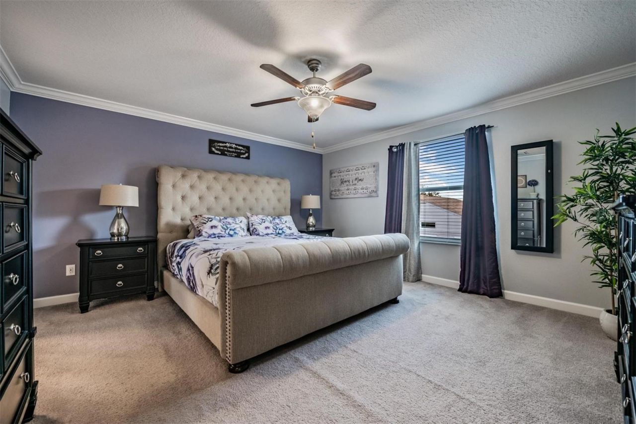 3233 Calvano Drive , Land O Lakes, FL 34639 Photo