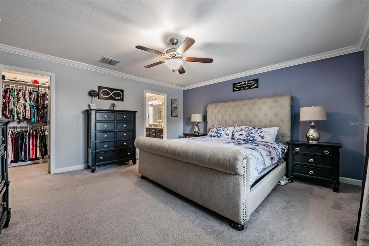 3233 Calvano Drive , Land O Lakes, FL 34639 Photo