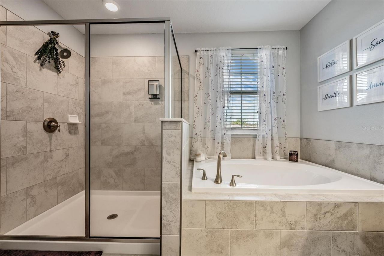 3233 Calvano Drive , Land O Lakes, FL 34639 Photo