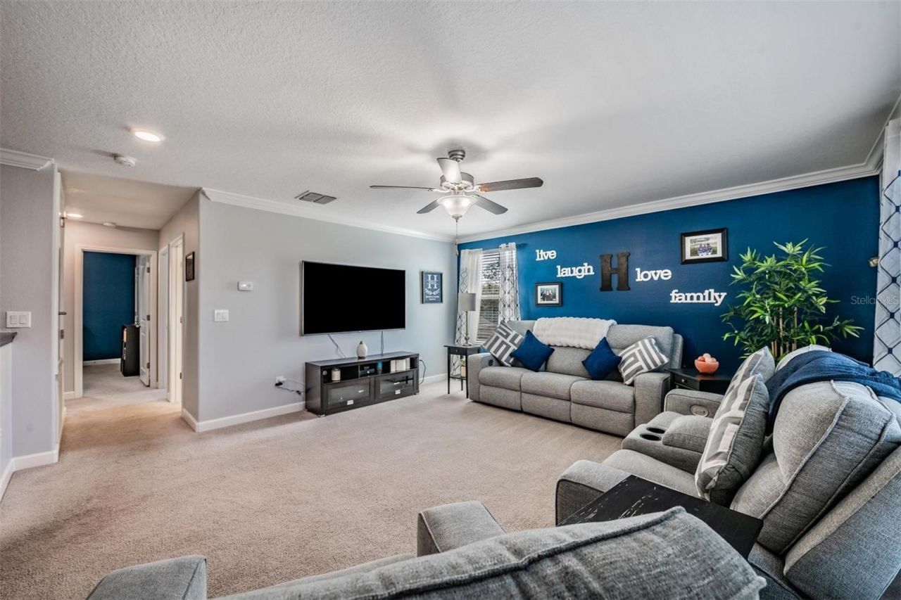 3233 Calvano Drive , Land O Lakes, FL 34639 Photo