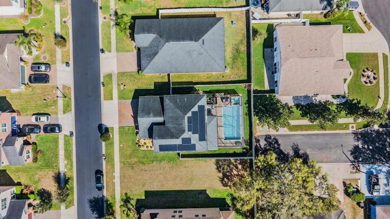 3233 Calvano Drive , Land O Lakes, FL 34639 Photo