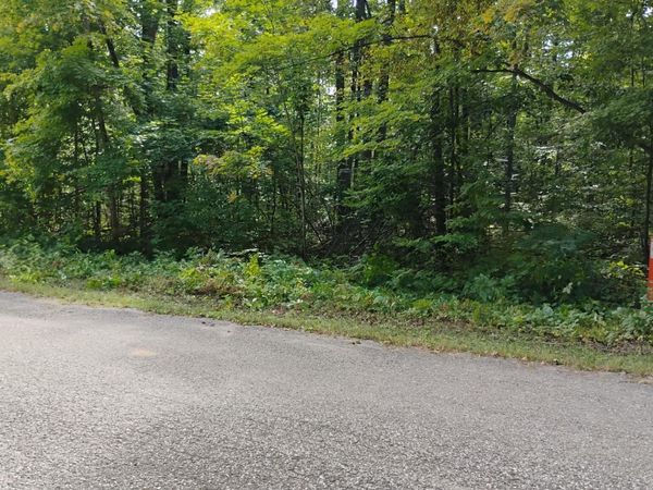 Valleyridge Circle, Alba, MI 49611
