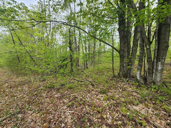 Valleyridge Circle, Alba, MI 49611