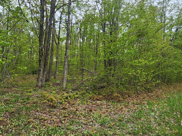 Valleyridge Circle, Alba, MI 49611