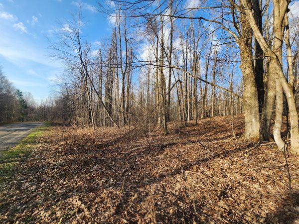 Valleyridge Circle, Alba, MI 49611