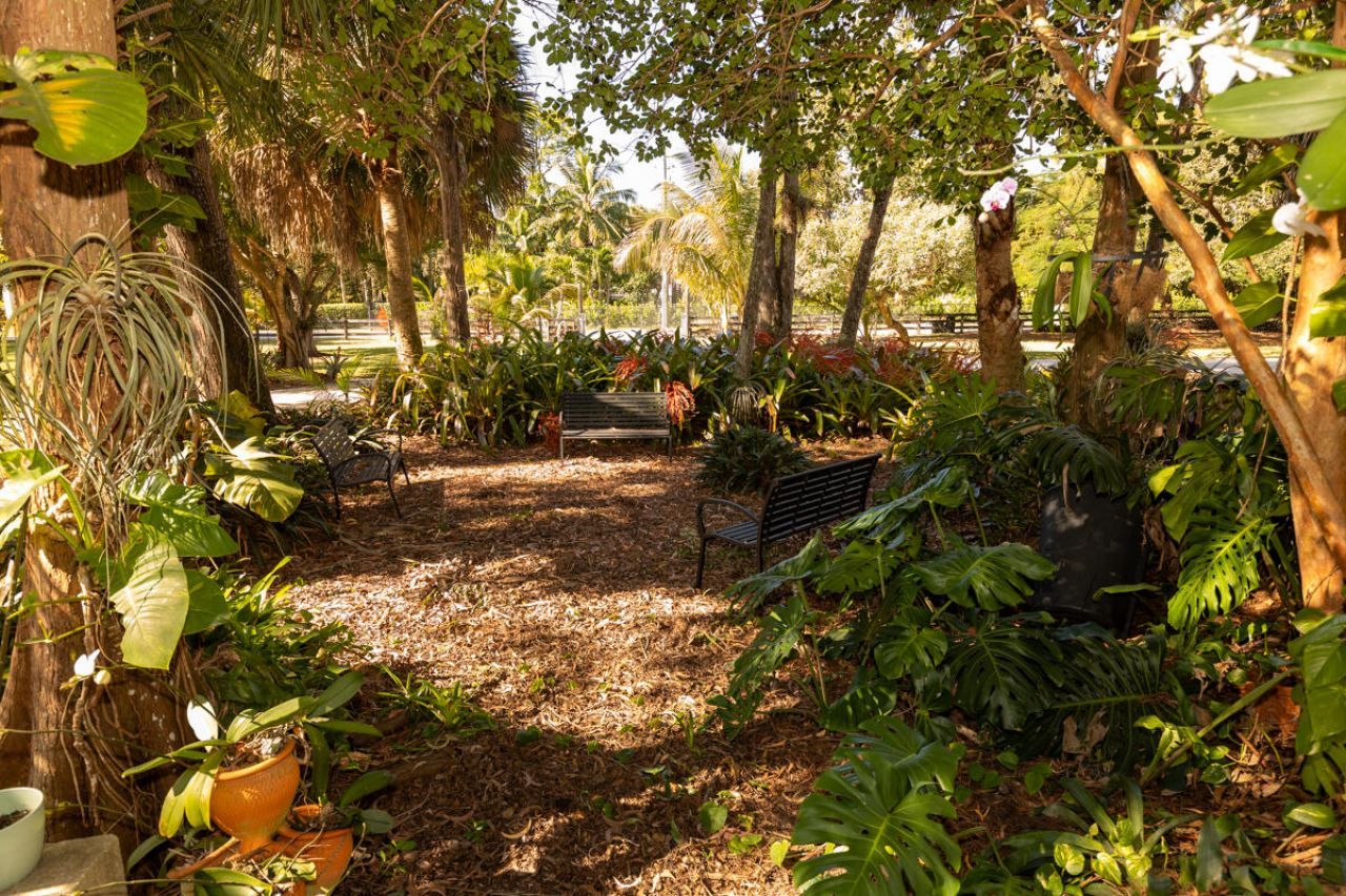 180 Elaine Road, West Palm Beach, FL 33415 Photo