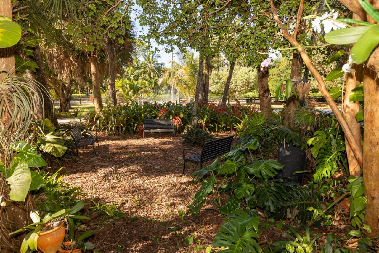 180 Elaine Road, West Palm Beach, FL 33415 Photo