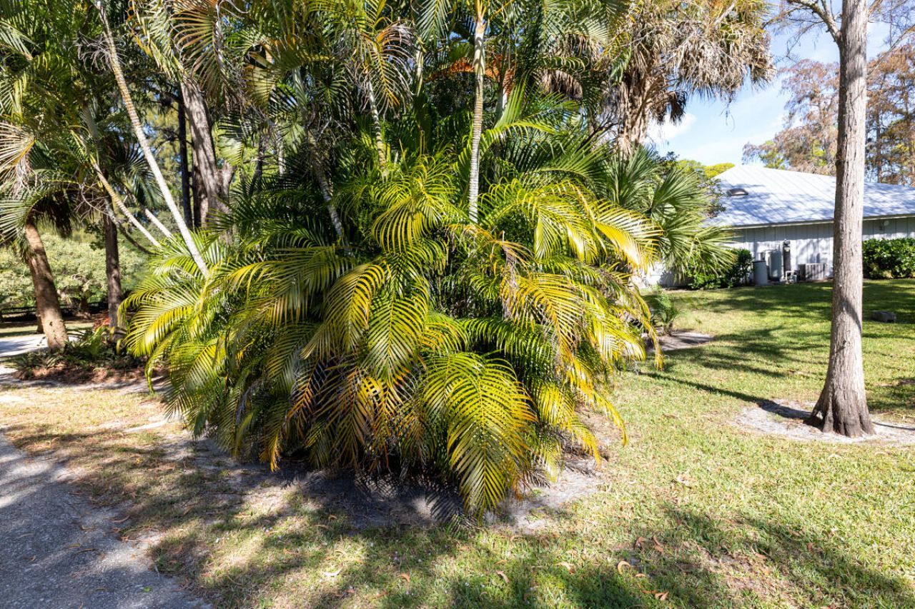 180 Elaine Road, West Palm Beach, FL 33415 Photo