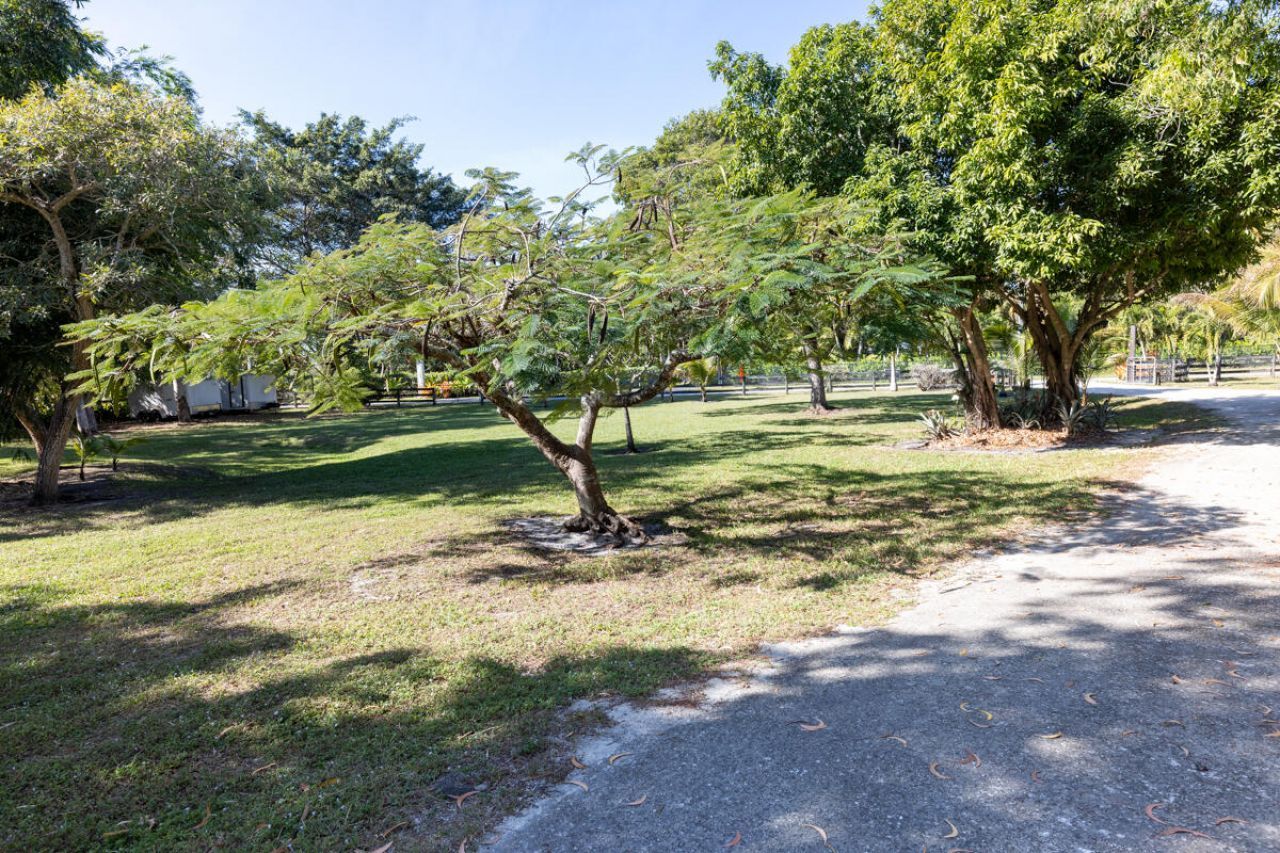 180 Elaine Road, West Palm Beach, FL 33415 Photo