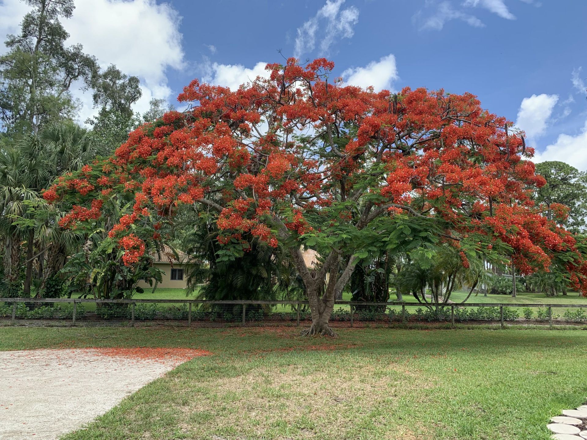 180 Elaine Road, West Palm Beach, FL 33415 Photo