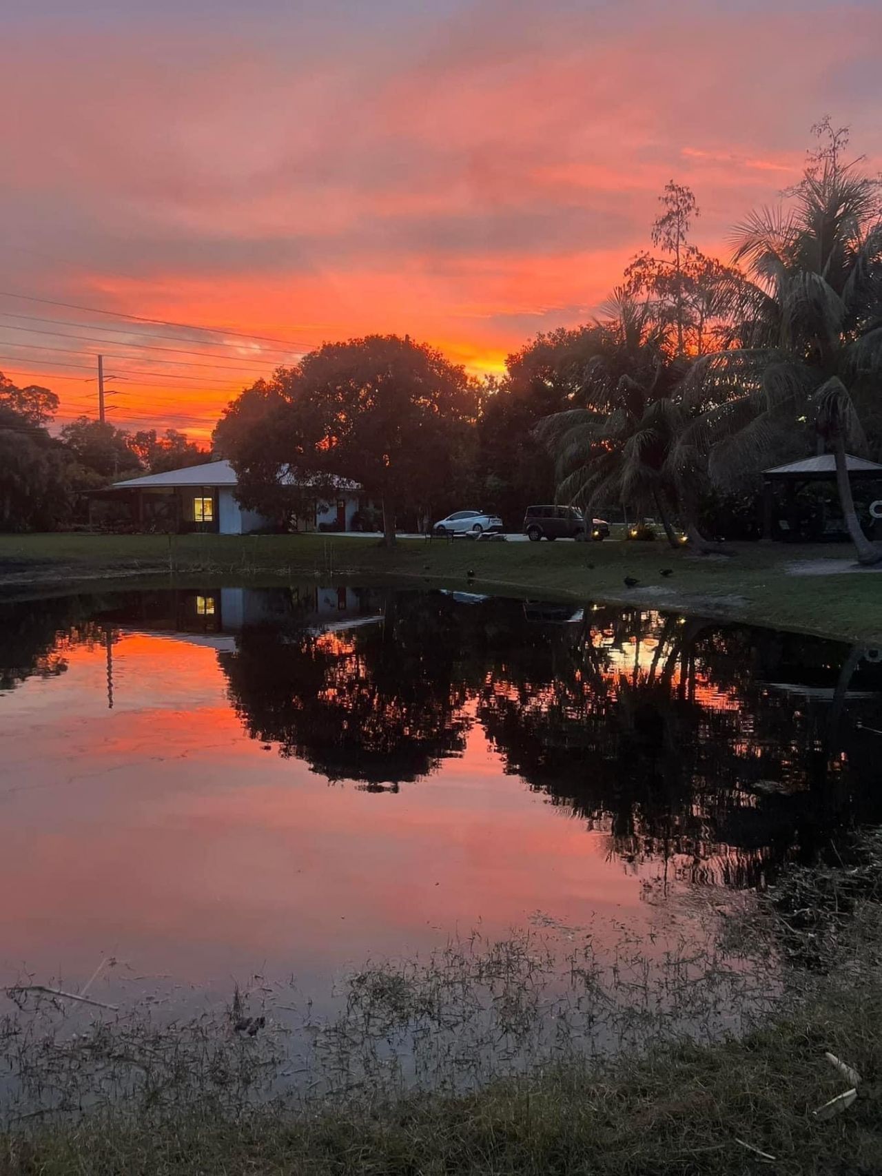 180 Elaine Road, West Palm Beach, FL 33415 Photo