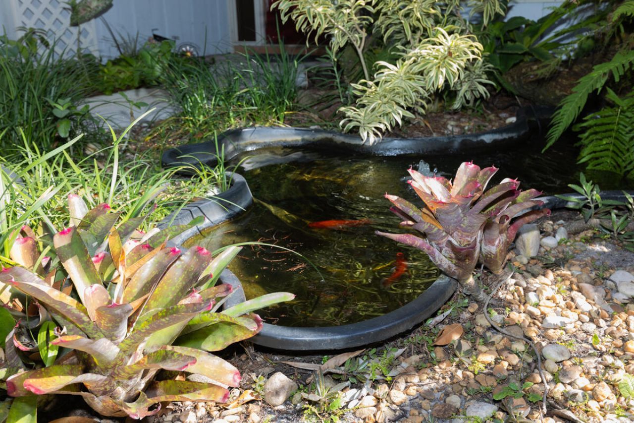 180 Elaine Road, West Palm Beach, FL 33415 Photo