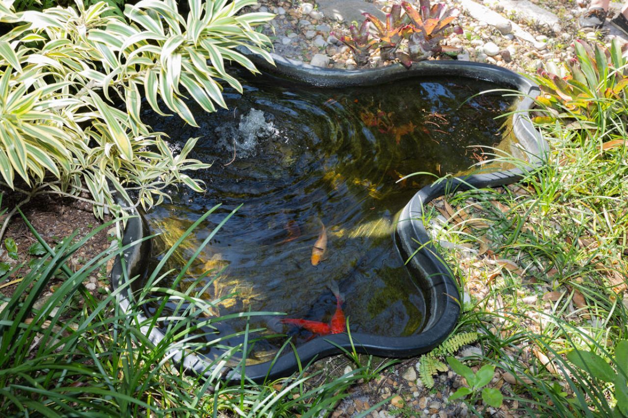 180 Elaine Road, West Palm Beach, FL 33415 Photo