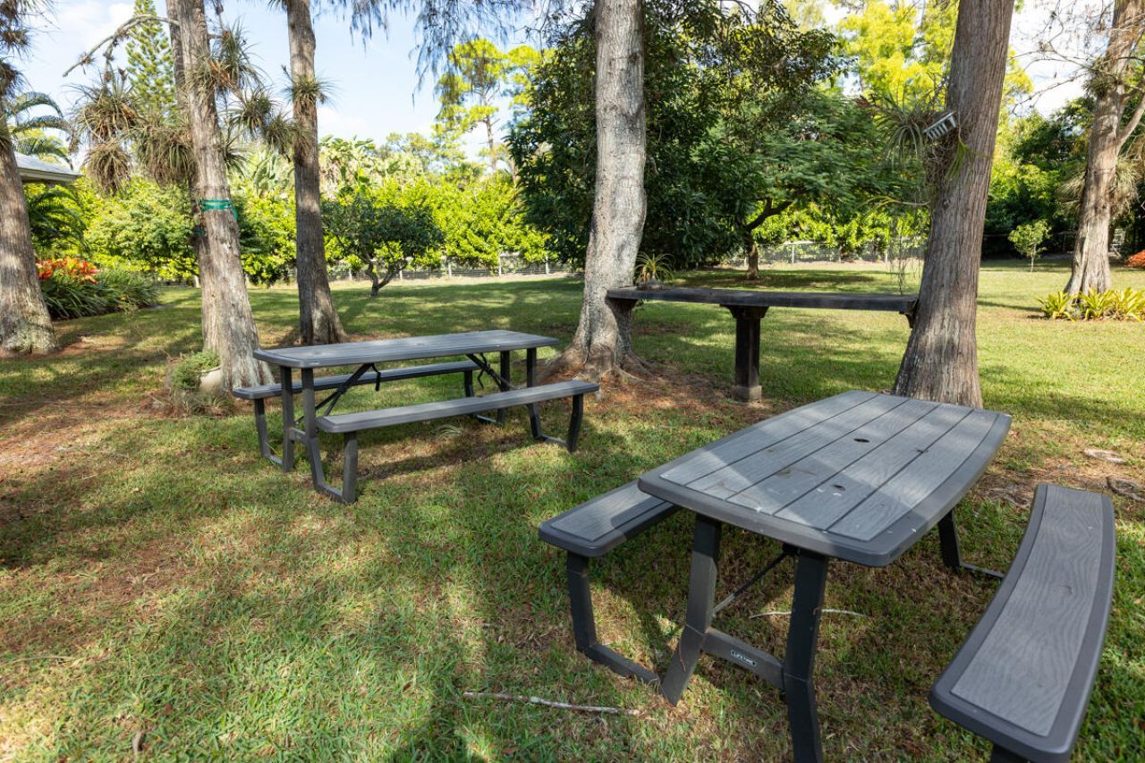 180 Elaine Road, West Palm Beach, FL 33415 Photo