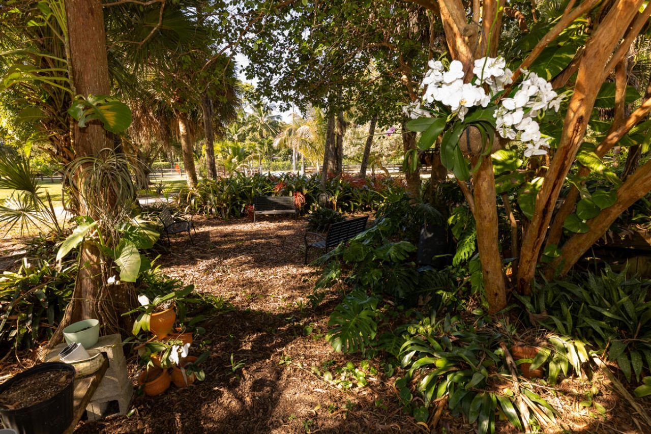 180 Elaine Road, West Palm Beach, FL 33415 Photo