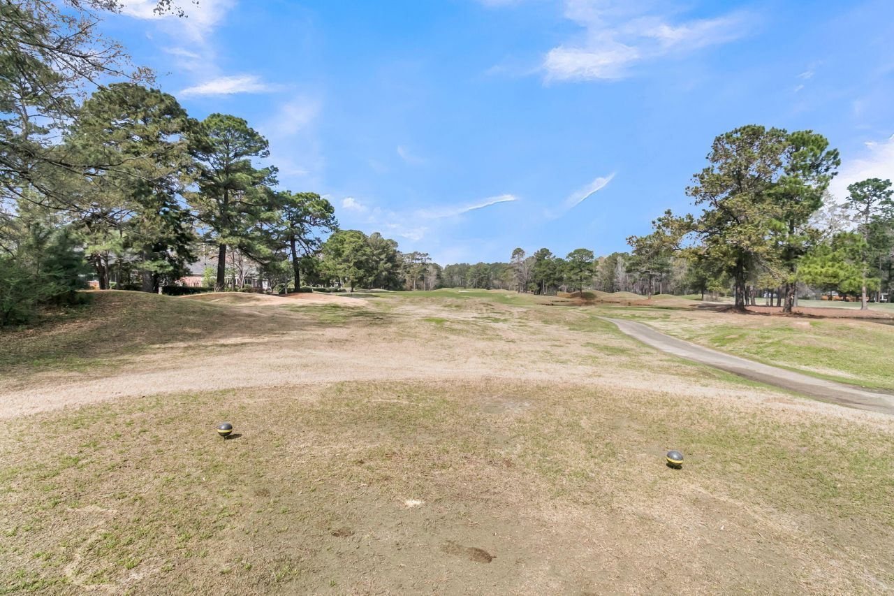 411 Prestwick Court Photo 42