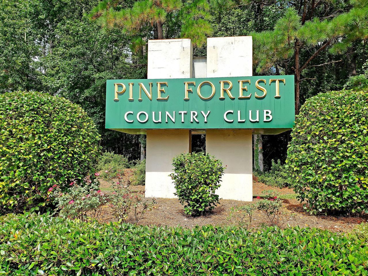 411 Prestwick Court Photo 46