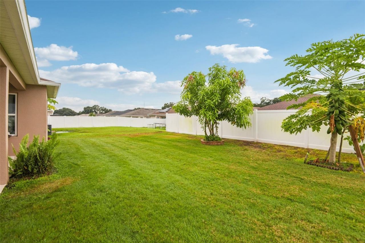 4248 Moon Shadow Loop, Mulberry, FL 33860 Photo