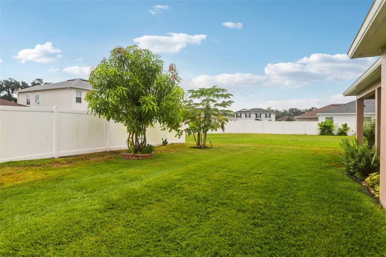 4248 Moon Shadow Loop, Mulberry, FL 33860 Photo