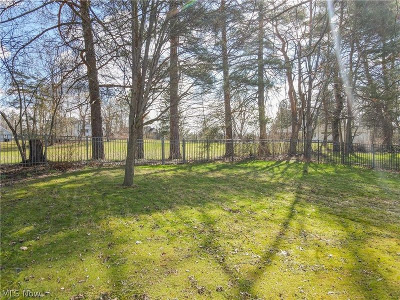 270 North Street, Chagrin Falls, OH 44022 Photo 28