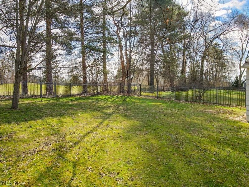 270 North Street, Chagrin Falls, OH 44022 Photo 30