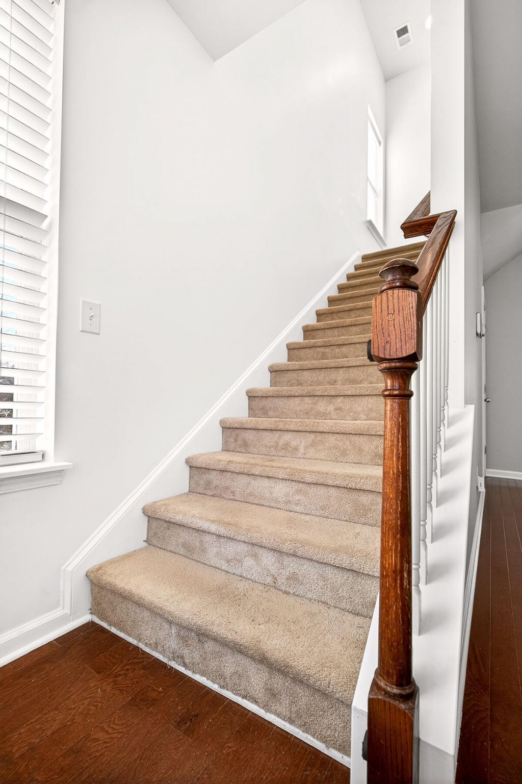 570 Rosings Drive Photo 19