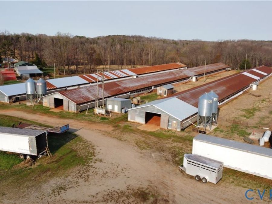 Property Image 6