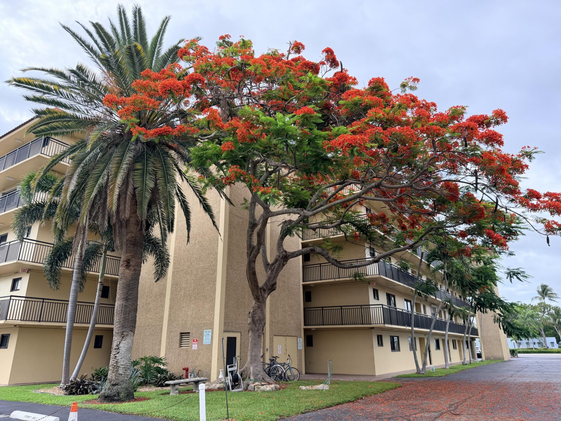 2601 NE 14th Street, Unit 340, Pompano Beach, FL 33062 Photo