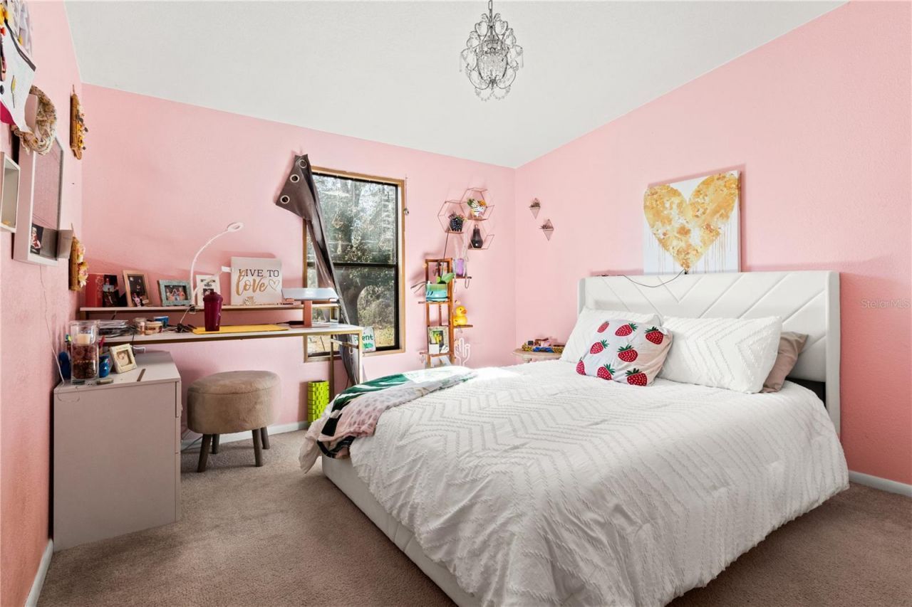 14930 SE 2nd Lane , Williston, FL 32696 Photo