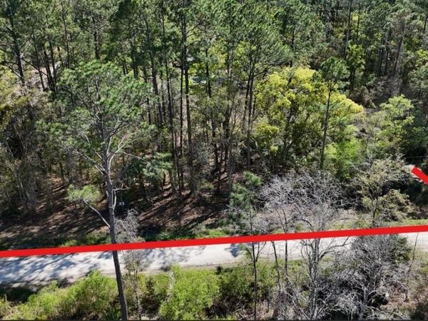 TBD NE 137TH PLACE , CITRA, FL 32113