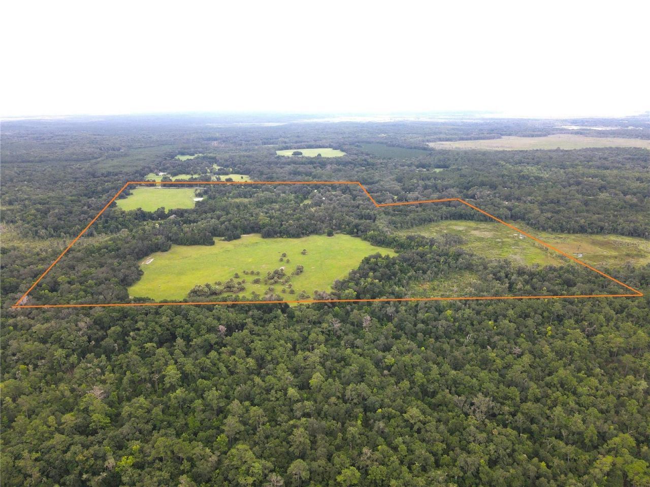 11816 SE County Road 234, Micanopy, FL 32667 Photo