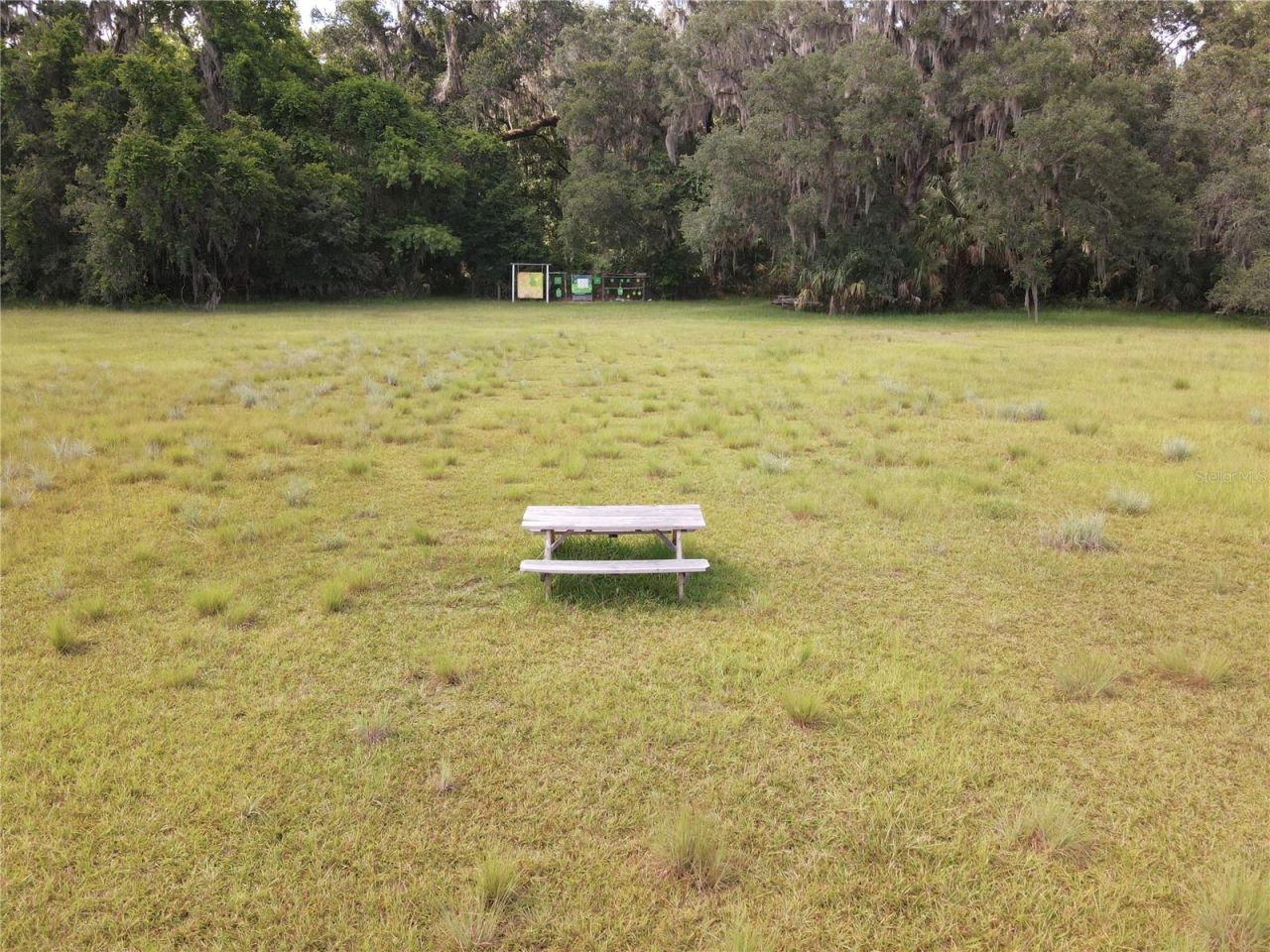 11816 SE County Road 234, Micanopy, FL 32667 Photo