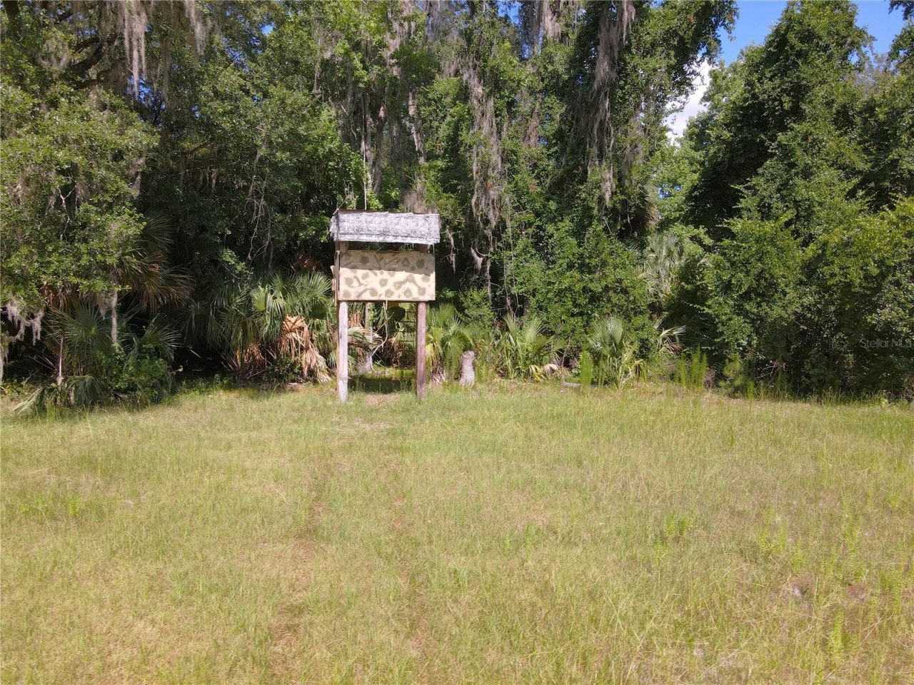 11816 SE County Road 234, Micanopy, FL 32667 Photo