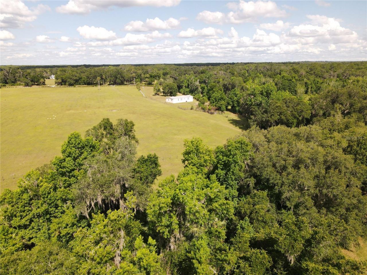 11816 SE County Road 234, Micanopy, FL 32667 Photo