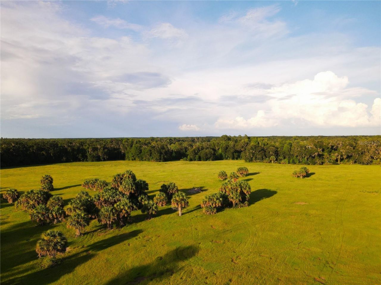 11816 SE County Road 234, Micanopy, FL 32667 Photo