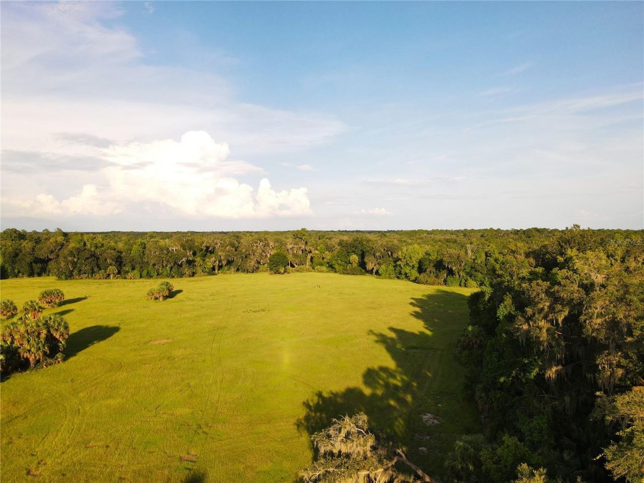 11816 SE County Road 234, Micanopy, FL 32667 Photo