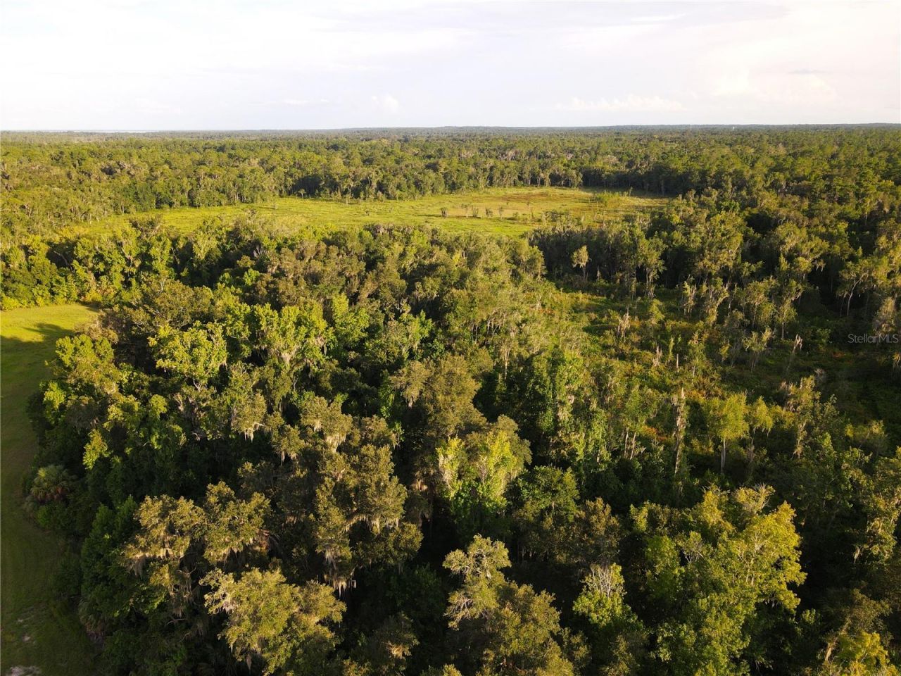 11816 SE County Road 234, Micanopy, FL 32667 Photo