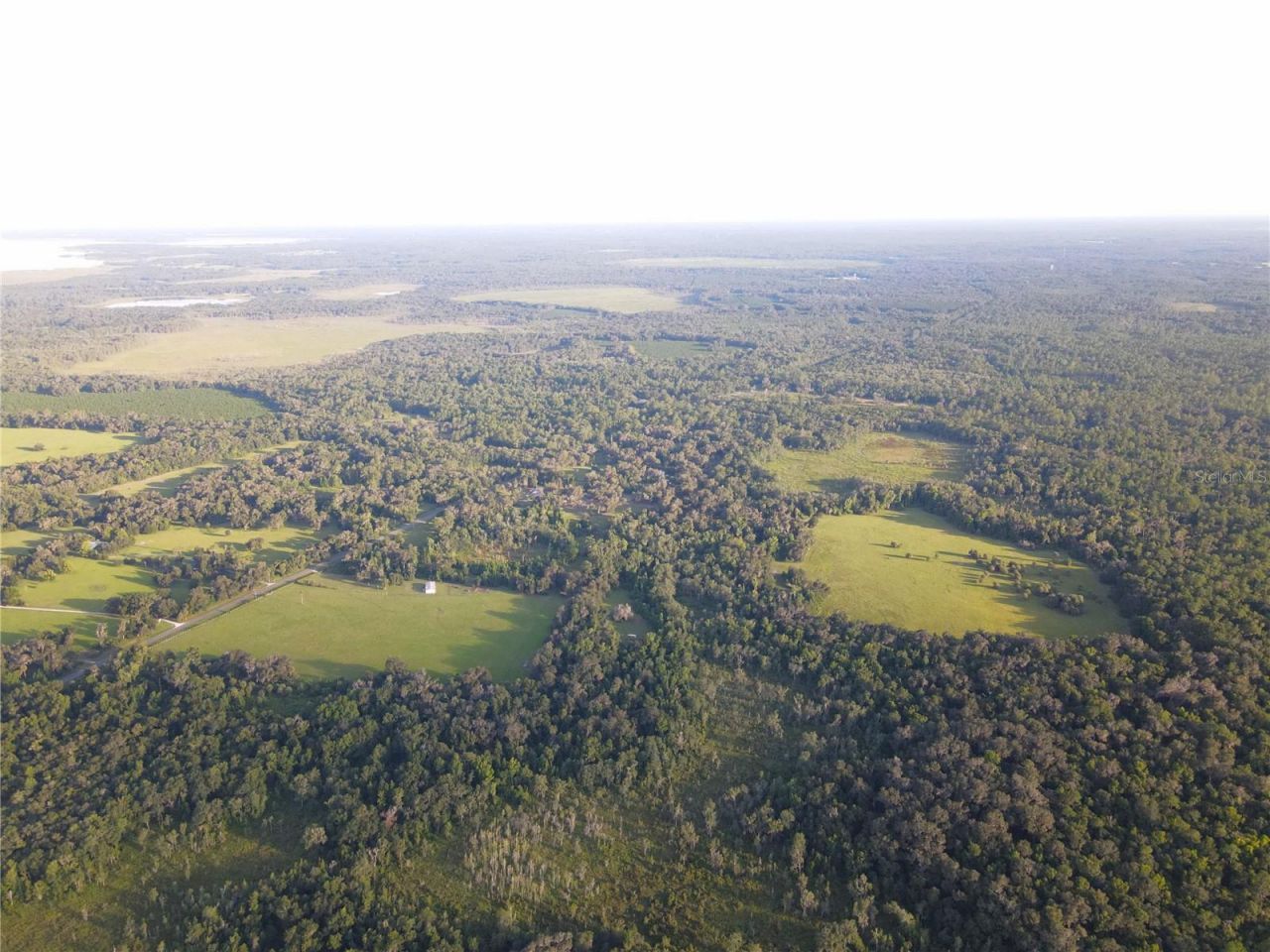 11816 SE County Road 234, Micanopy, FL 32667 Photo