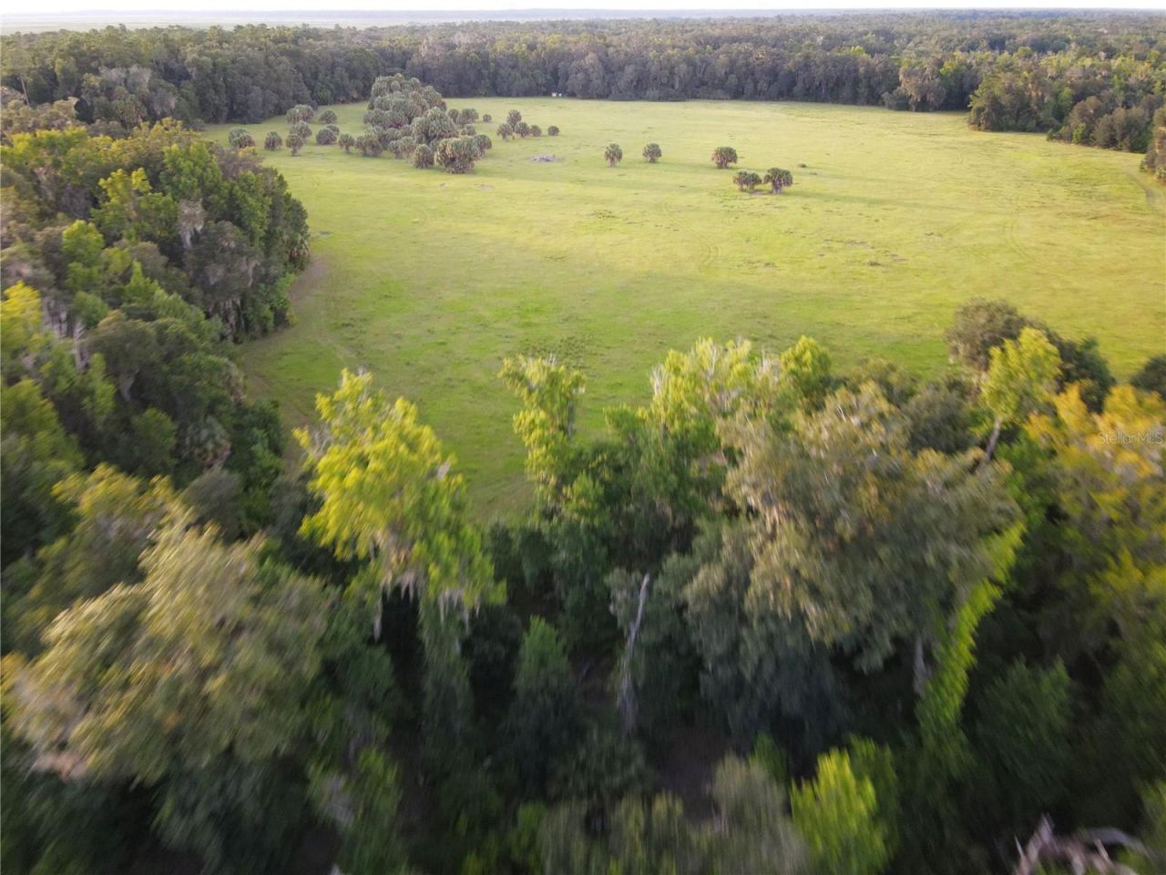 11816 SE County Road 234, Micanopy, FL 32667 Photo