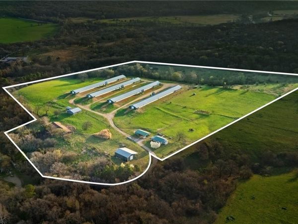 16210 Highway 59 , Lincoln, AR 72744