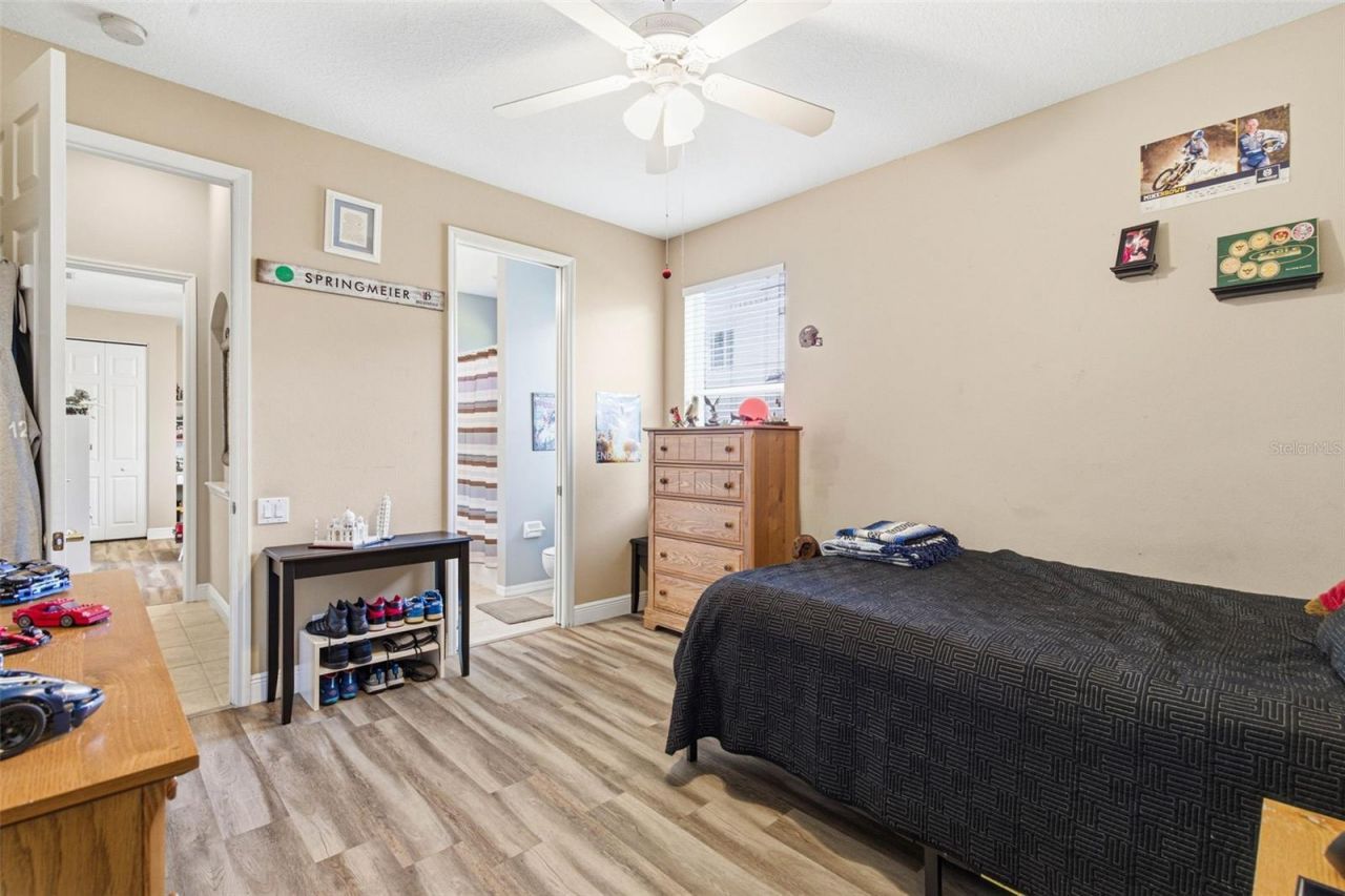 5442 Millbrook Way, Palm Harbor, FL 34685 Photo