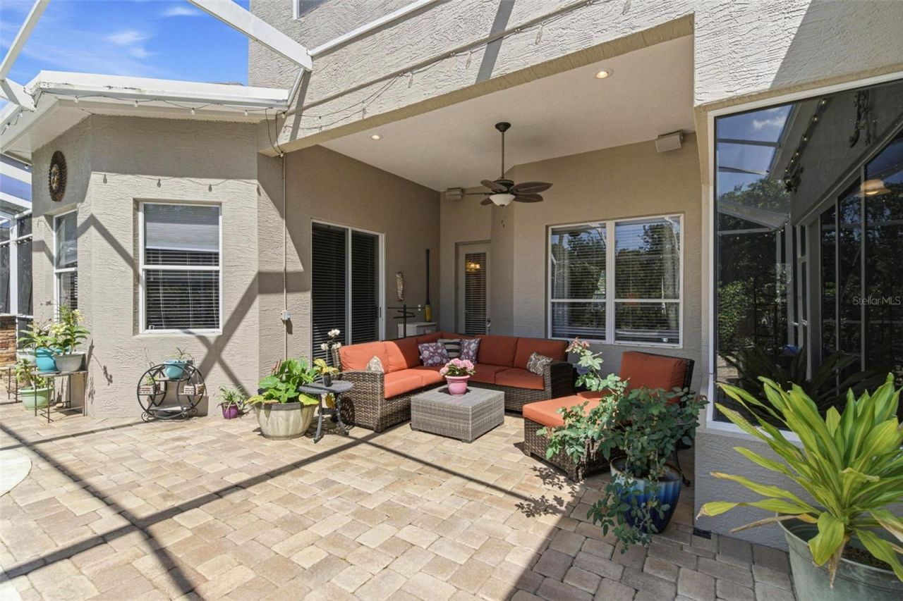 5442 Millbrook Way, Palm Harbor, FL 34685 Photo