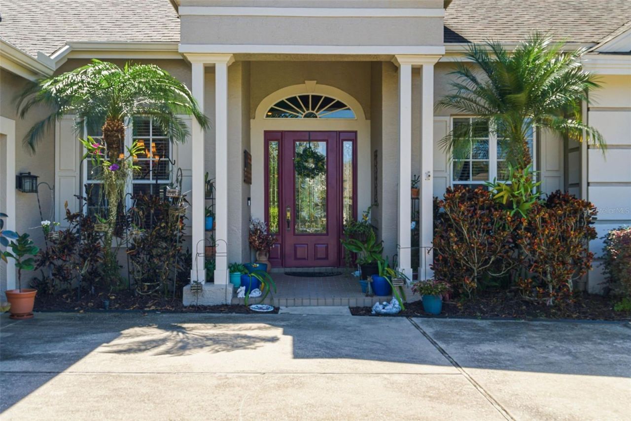 5442 Millbrook Way, Palm Harbor, FL 34685 Photo