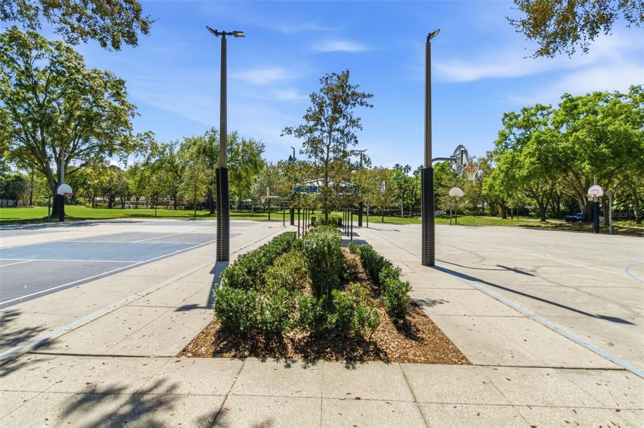 5442 Millbrook Way, Palm Harbor, FL 34685 Photo