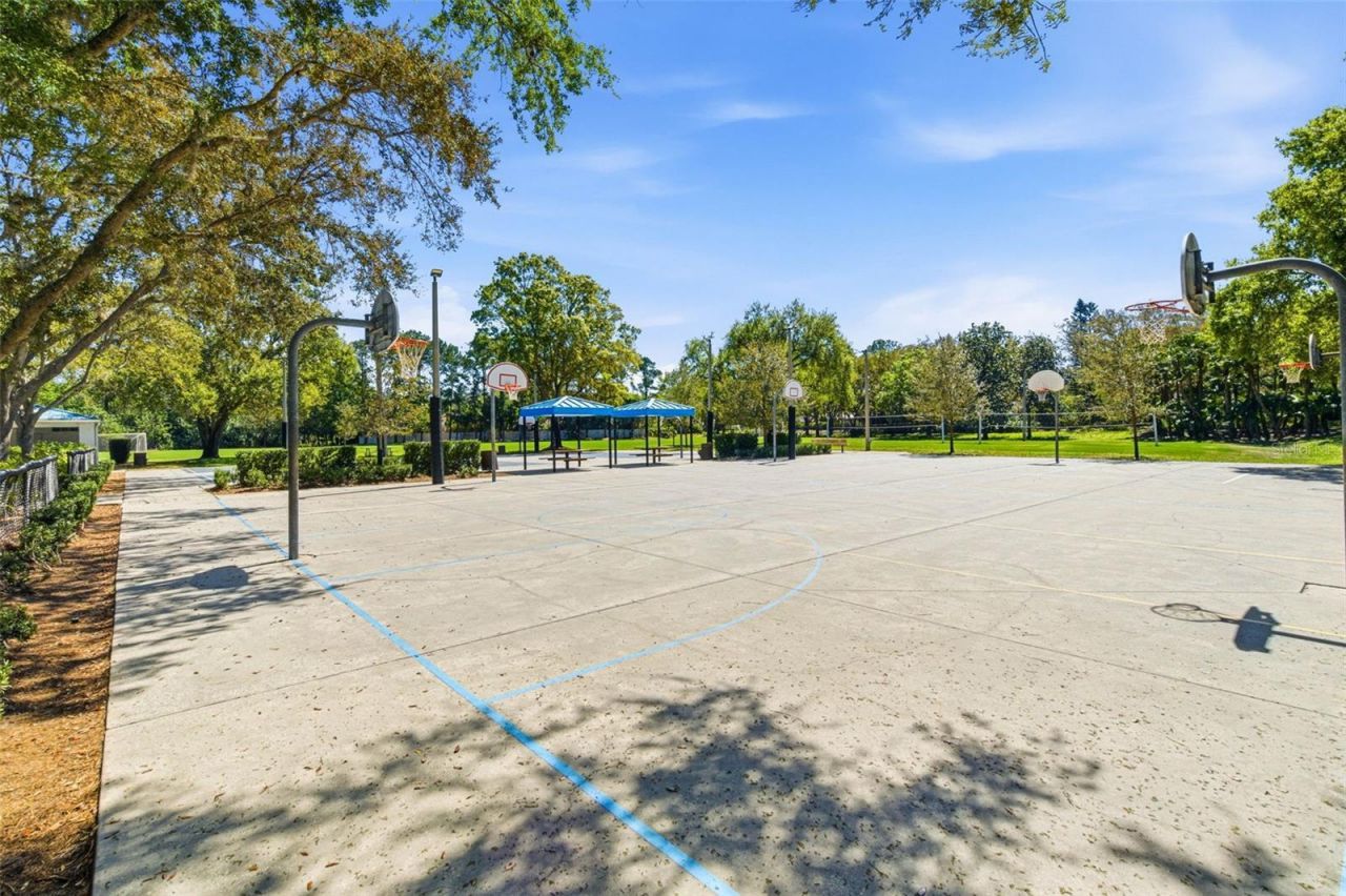 5442 Millbrook Way, Palm Harbor, FL 34685 Photo