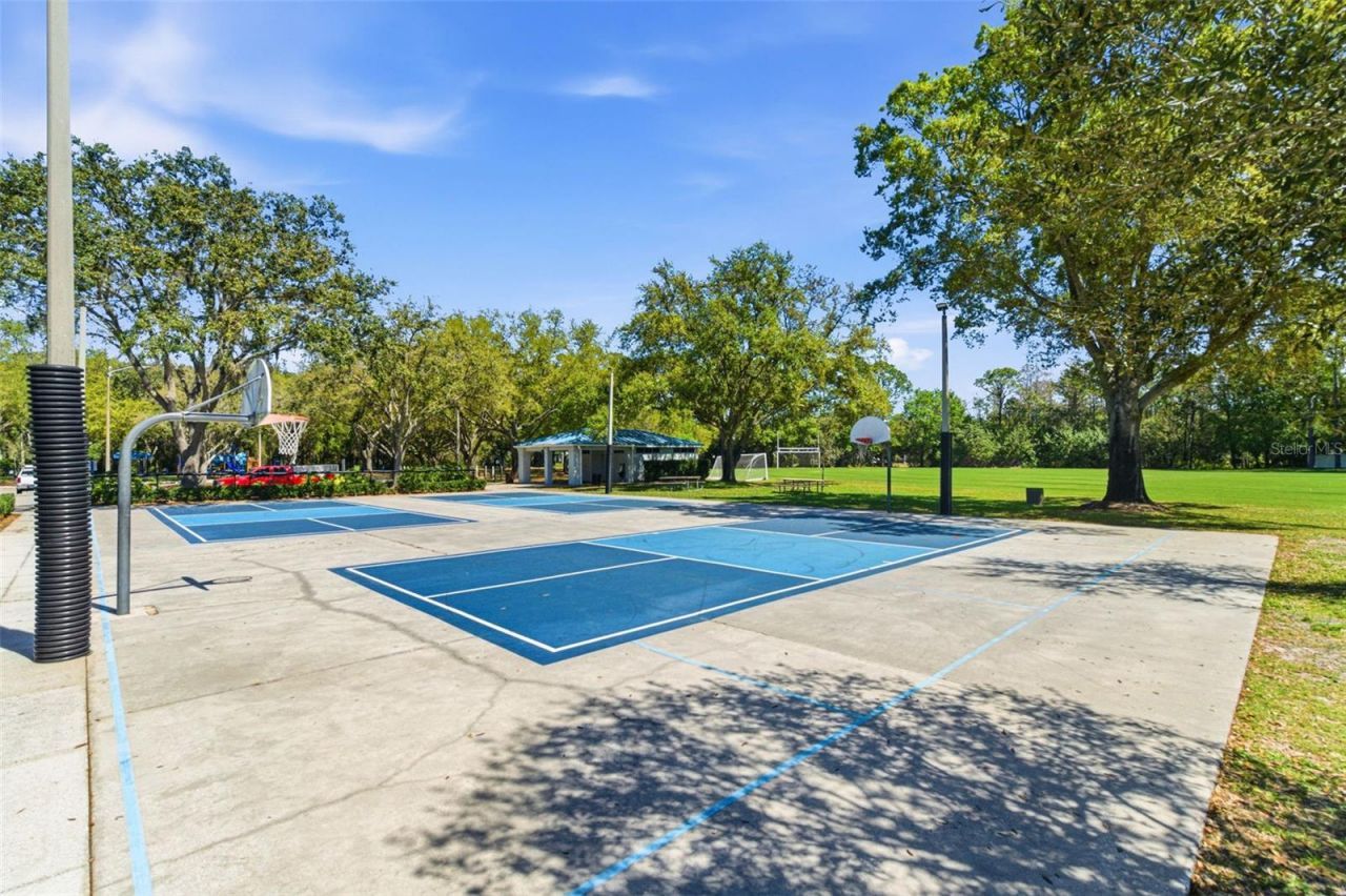 5442 Millbrook Way, Palm Harbor, FL 34685 Photo