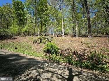 Lot 121 TIMBER LN , BLUEMONT, VA 20135